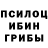 Бошки Шишки ГИДРОПОН Asy Kul