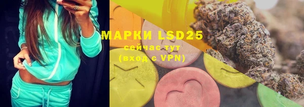 PSILOCYBIN Карталы