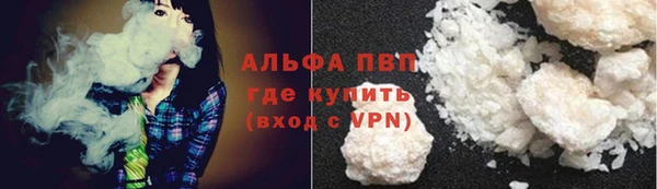 PSILOCYBIN Карталы