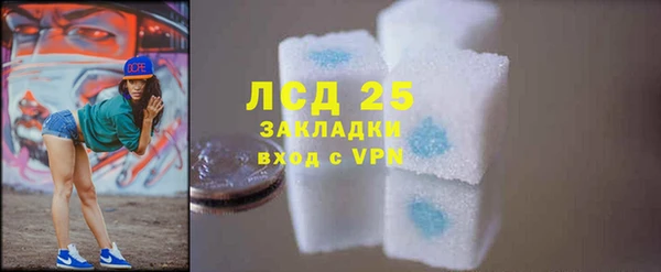 PSILOCYBIN Карталы