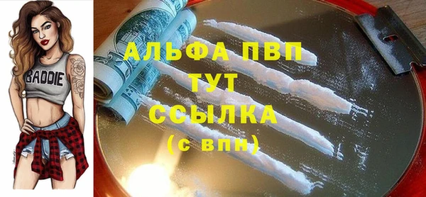 PSILOCYBIN Карталы