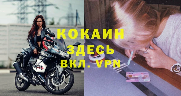 PSILOCYBIN Карталы