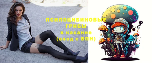 МДМА Карпинск