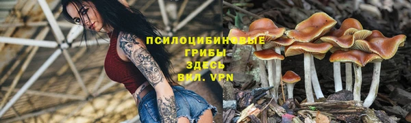 МДМА Карпинск